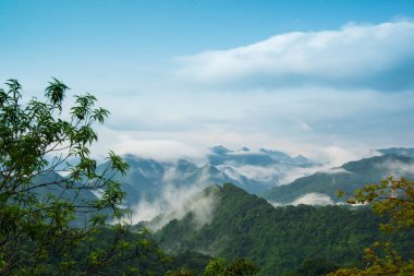 Yağmurdan sonra, dağın tepesindeki bulut manzarası sürekli değişiyor. Shide District, New Taipei 'de yaz yağmurundan sonra Erge Park.