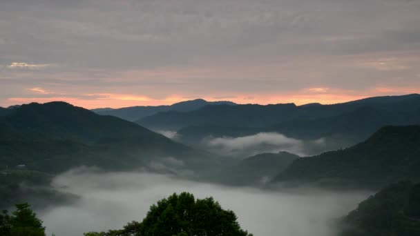 日が昇る前に 空の灰色の雲がオレンジ色に変わります ヘイズみたいに 早朝の茶園の景色 雲の海と日の出 ピンリン地区 ニュー台北 — ストック動画