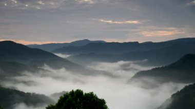 Güneş bulutları delip geçiyor ve vadiye dökülüyor. Sabah erkenden çay bahçeleri, bulutlar denizi ve gün doğumu, Pinglin Bölgesi, New Taipei.
