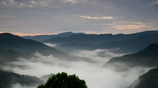 Сонце Проникає Хмари Проливається Долину Ранній Вигляд Чайні Сади Море — стокове відео