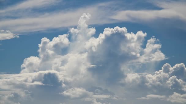 Блакитне Небо Непередбачувані Білі Хмари Дивовижна Природа Острів Гішан Тортл — стокове відео