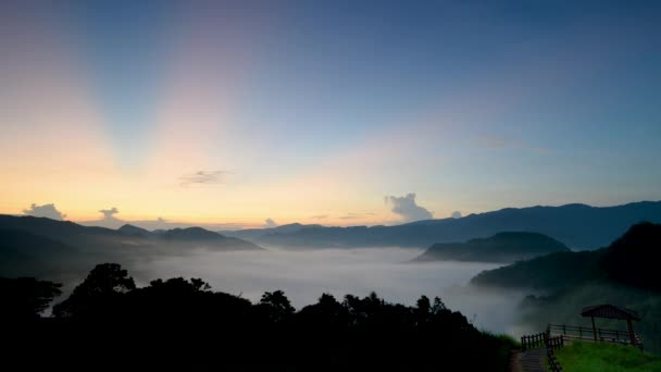 山頂に青空にオレンジ色の光が現れました 早朝の茶園の景色 雲の海と日の出 ピンリン地区 ニュー台北 — ストック動画