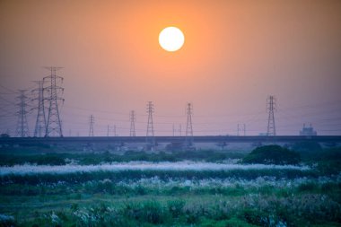 Sonbaharın Fısıltısı, Beyaz Vahşi Şeker Kamışı 'yla Riverside Huzuru. Şeker kamışı çimleri Zengwun nehri boyunca alacakaranlıkta. Tainan Şehri.