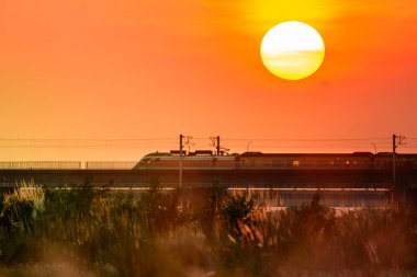 Wild Sugracane ön planda ve tren köprüsü arka planda. Changhua 'daki Zhuoshui Nehir yatağının sonbahar alacakaranlık manzarası..