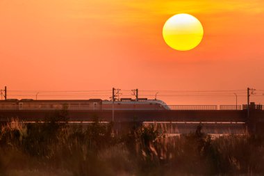 Wild Sugracane ön planda ve tren köprüsü arka planda. Changhua 'daki Zhuoshui Nehir yatağının sonbahar alacakaranlık manzarası..