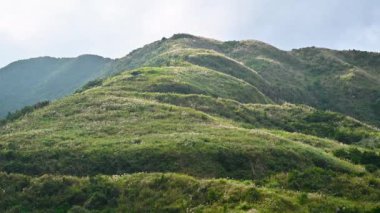Mavi gökyüzü, beyaz bulutlar, dağın tepesi yeşil çimlerle kaplı. Sonbahar, Ruifang, New Taipei 'de Banping Dağı' na tırmanmak için iyi bir zamandır..