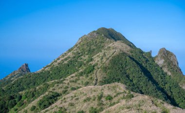 Dağın tepesi beyaz gümüş çimen çiçekleriyle kaplıdır. Sıcak kış güneşinin ve temiz havanın tadını çıkar. Ruifang Caoshan Yürüyüş Yolu.