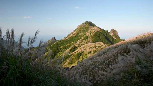 山頂は白い銀の草の花で覆われています 暖かい冬の日差しと新鮮な空気を満喫してください ルイファン カオサン ハイキング トレイル — ストック動画