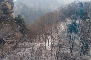 Wudang Dağı 'nın karlı patikaları sessiz ağaçlar ve sislerle kaplı, huzurlu ve gizemli bir atmosfer yaratıyor..