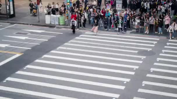 Zeitraffer Aufnahmen Von Unkenntlich Gemachten Personen Die Auf Der Straße — Stockvideo