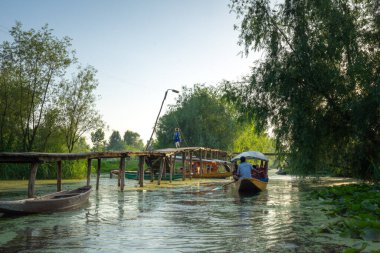 Srinagar, Hindistan 07 - Temmuz 2018: Dal Gölü 'nde yaşam tarzı. Shikara tekne trafiği çok yoğun. Bu Srinagar Gölü 'ndeki yerel ulaşım aracı. Jammu ve Kashmir Eyaleti, Hindistan.