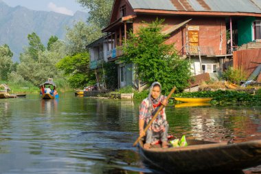 Srinagar, Hindistan 07 - Temmuz 2018: Dal Gölü 'nde yaşam tarzı. Shikara tekne trafiği çok yoğun. Bu Srinagar Gölü 'ndeki yerel ulaşım aracı. Jammu ve Kashmir Eyaleti, Hindistan.