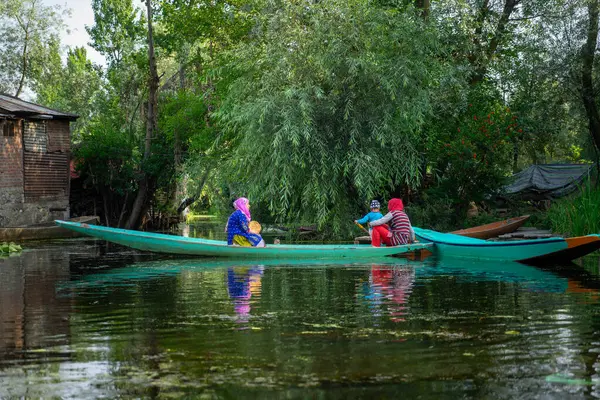 Srinagar, Hindistan 08 - Temmuz 2018: Dal Gölü 'nde yaşam tarzı. Yerli kadınlar çocukları teknelerle taşıdı. Bu Srinagar Gölü 'ndeki yerel ulaşım aracı. Jammu ve Kashmir Eyaleti, Hindistan.