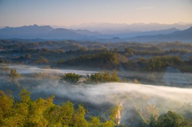 Sabahları, vadiden gelen duman kıvrılır ve bambu ormanı yeşildir. Zuozhen 'deki Erliao kabilesi, Tayvan' ın Tainan şehrindeki gündoğumu manzarasının tadını çıkarıyor..