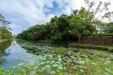 Sri Lanka, Sigiriya Kayası 'ndaki Huzur Hendeği. Sri Lanka 'daki Sigiriya Kayası' nı çevreleyen ve nilüfer yaprakları ve su bitkileriyle süslenmiş hendeğin sakin bir görüntüsü..