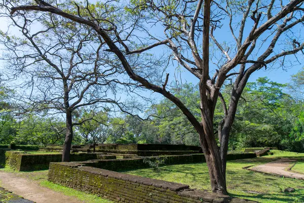 UNESCO 'nun Dünya Mirası Bölgesi Antik Polonnaruwa şehrindeki Kraliyet Sarayı' nın (Parakramabahu Kraliyet Sarayı) antik tuğla kalıntıları..