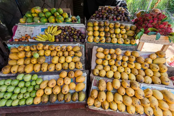 Tropical Fruit Stand in Sri Lanka. A vibrant fruit stand in Sri Lanka, showcasing a variety of tropical fruits such as mangoes, rambutan, papaya, and bananas.