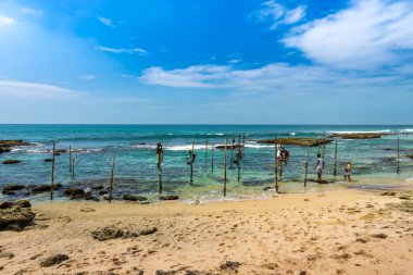 Güneybatı Kıyısı, Sri Lanka - 29 Ocak 2024: Balıkçılar sığ suların ortasındaki tahta ayaklıklar üzerinde ustalıkla denge kurarak, iplerini sakin ve geleneksel bir balıkçılık yöntemiyle oluşturdular.