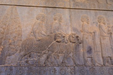 İnsanları ve hayvanları hareket halindeyken gösteren detaylı taş oymaları. Antik sanat eserlerine bir bakış, karmaşık tasarımlar ve hikaye anlatımları, Persepolis, İran.