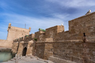 Essaouira Kalesi 'nin antik kumtaşı duvarları ve gözetleme kuleleri canlı mavi gökyüzüne karşı durmaktadır. Essaouira, Fas 'ta bulunan bir miras sembolü..