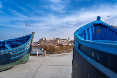 Canlı mavi botlar karada oturur ve martılar Fas 'ın Essaouira şehrinin üzerinde uçarak bu kıyı şehrinin özünü yakalar..