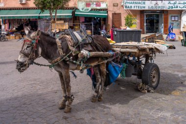Jemaa el-Fnaa, Marakeş, Fas - 18 Mart 2024: Mallarla dolu geleneksel bir eşek arabası pazar meydanına park edilmiştir.