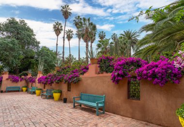 Duvarlar mor-kırmızı bougainvillea çiçekleriyle kaplı. Majorelle Bahçesi en gizemli bahçe olarak bilinir. Marakeş, Fas.