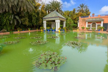Çeşmenin yanında dinlenme yeri bulunan kırmızı ve beyaz nilüferler. Majorelle Bahçesi en gizemli bahçe olarak bilinir. Marakeş, Fas.