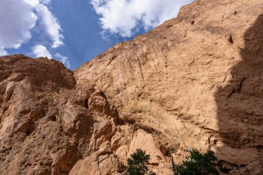 Todra Gorges, Fas 'taki Todgha Nehri üzerinde aşınmış kızıl kaya kayalıkları kulesi. Doğal güzelliğin ve jeolojik zamanın bir kanıtı..