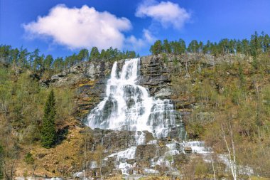 Tvindefossen çağlayanlarının çok katmanlı şelaleleri yosunlu kayaların üzerine dökülüyor. Bu manzara, canlı yeşil yapraklar tarafından daha da güzel hale getiriliyor. Voss, Norveç 'te güneşli bir gün.