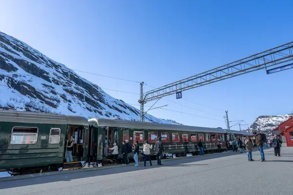 Flam, Norveç - 2 Mayıs 2024: Flam Demiryolu sersemletici Norveç dağları boyunca esiyor, yolculara fiyortların ve şelalelerin nefes kesici manzarasını sunuyor.
