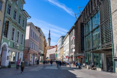 Tallinn, Estonya - 8 Mayıs 2024: Ortaçağ cazibesine kapıl. Bu pitoresk şehirde iyi korunmuş ortaçağ mimarisi, kaldırımlı sokaklar ve renkli binalar yer alıyor. Tallinn, Estonya.