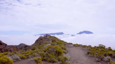 Piton de la Fournaise, Reunion Adası 'ndaki volkanik kraterin yakın görüntüsü. Kraterin sarp, engebeli duvarları çorak ve kayalık iç kısımlarla çelişen gür bitki örtüsüyle kaplıdır..