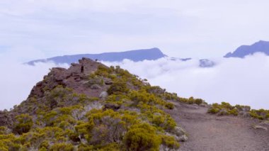 Piton de la Fournaise, Reunion Adası 'ndaki volkanik kraterin yakın görüntüsü. Kraterin sarp, engebeli duvarları çorak ve kayalık iç kısımlarla çelişen gür bitki örtüsüyle kaplıdır..