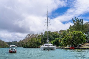 Mauritius, Ile aux Cerfs 'te sakin bir lagüne demirlemiş dingin bir katamaran. Bereketli yeşillik kıyıları kaplıyor ve tropikal manzaralar yaratıyor. Ile aux Cerfs, Mauritius, Hint Okyanusu.