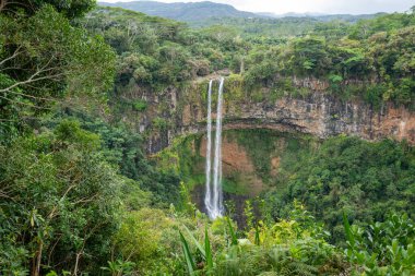 Görkemli Chamarel Şelaleleri, bereketli yağmur ormanlarıyla çevrili dik bir uçurumdan aşağı yuvarlanıyor. Bu ikonik şelale Mauritius 'un en yüksek şelalelerinden biridir..