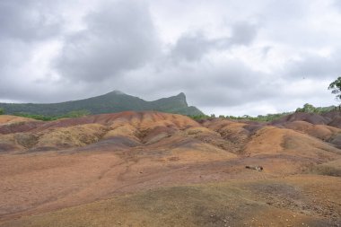 Chamarel 'in ikonik yedi renkli dünyası, Mauritius. Bu doğal harikada volkanik kül ve minerallerden oluşan renkli kum tepecikleri bulunur. Mauritius 'a gelen her ziyaretçinin görmesi gereken bir şey..