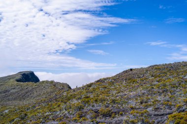 Reunion Adası 'nın ıssız bir volkanik ovası vardır, adı 
