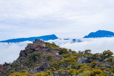 Piton de la Fournaise, Reunion Adası 'ndaki volkanik kraterin yakın görüntüsü. Kraterin sarp, engebeli duvarları çorak ve kayalık iç kısımlarla çelişen gür bitki örtüsüyle kaplıdır..