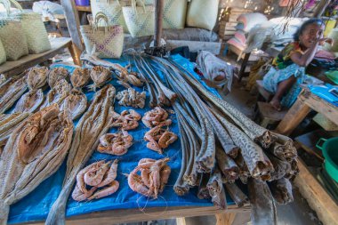 Morondava, Madagaskar - 26 Ağustos 2024: Genç bir kız balık ve karides de dahil olmak üzere kurumuş deniz ürünleriyle dolu bir tezgahın yanında oturuyor. Bölgeden geleneksel gıda koruma yöntemleri gösteriliyor.