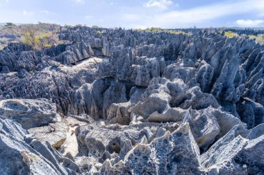Yüksek kireçtaşı karst oluşumları Tsingy de Bemaraha Ulusal Parkı 'nın nefes kesici manzarasını yaratır. Keskin, sivri tepeler ve derin kanyonlar nefes kesici manzaralar sağlar. Madagaskar, Afrika.