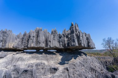 Yüksek kireçtaşı karst oluşumları Tsingy de Bemaraha Ulusal Parkı 'nın nefes kesici manzarasını yaratır. Keskin, sivri tepeler ve derin kanyonlar nefes kesici manzaralar sağlar. Madagaskar, Afrika.