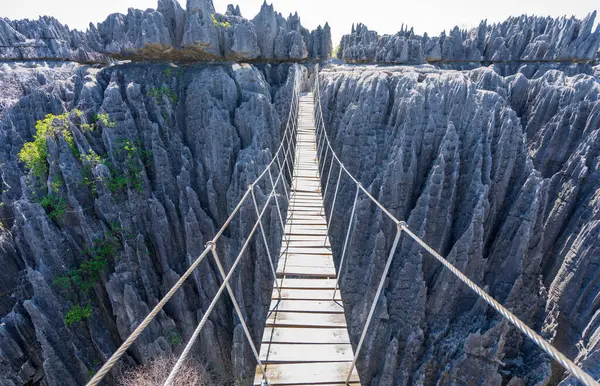 Tsingy de Bemaraha Ulusal Parkı 'nın dramatik kireç taşı oluşumlarında bir asma köprü derin bir uçurum boyunca uzanır. Köprü ziyaretçiler için heyecan verici bir macera sunuyor. Madagaskar.