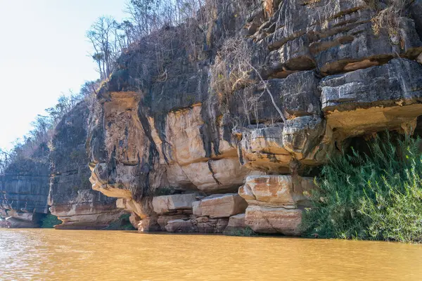 Madagaskar 'daki Manambulo Nehri' nin manzarası nehir erozyonundan oluşan eşsiz kireçtaşı oluşumlarını gösteriyor. Nehir kıyısındaki yemyeşil bitki örtüsü, altın nehir suyuyla keskin bir tezat oluşturuyor..