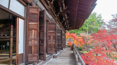 Shinnyo-do Tapınağı 'nın ana salonunun manzarası. Ahşap kapılar kısmen açık. Canlı sonbahar yaprakları ortaya çıkıyor. Geleneksel Japon mimarisi sonbahar renkleriyle harmanlanır. Kyoto, Japonya.