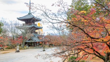 Geleneksel ahşap bir pagoda Shinnyodo Tapınağı 'nda canlı sonbahar yaprakları arasında duruyor. Renkli yapraklar tarihi yapıyı çerçeveliyor. Shinnyo-do Tapınağı, Kyoto, Japonya.