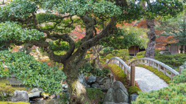 Kyoto İmparatorluk Sarayı 'ndaki Onnai Gölü' nün üzerinde yemyeşil ve sonbahar renkleriyle çevrili ahşap bir köprü manzarası. Huzurlu bir vaha. Kyoto, Japonya.