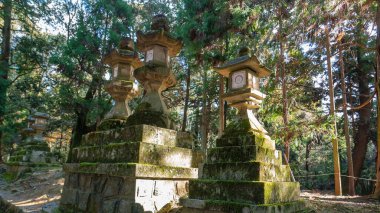 Nara, Japonya - 16 Aralık 2024: Yosun kaplı yıpranmış taş fenerlerin yakın görüntüsü, Kasuga Taisha Tapınağı yolunda duruyor. Bunlar tapınağın ayırt edici özellikleri..