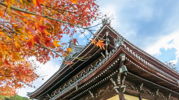 Canlı kırmızı akçaağaç yaprakları Kyoto 'daki Nanzen-ji Tapınağı' nın karanlık, yıpranmış ahşap çatısına karşı çarpıcı bir kontrast oluşturuyor. Bu büyüleyici görüntü Japonya 'da sonbaharın özünü yakalar..