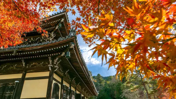 Canlı kırmızı akçaağaç yaprakları Kyoto 'daki Nanzen-ji Tapınağı' nın karanlık, yıpranmış ahşap çatısına karşı çarpıcı bir kontrast oluşturuyor. Bu büyüleyici görüntü Japonya 'da sonbaharın özünü yakalar..